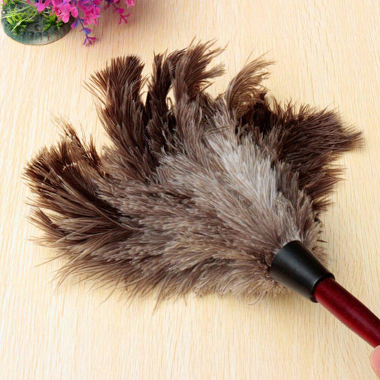 Feather Dusters Ostrich Feathers Duster
